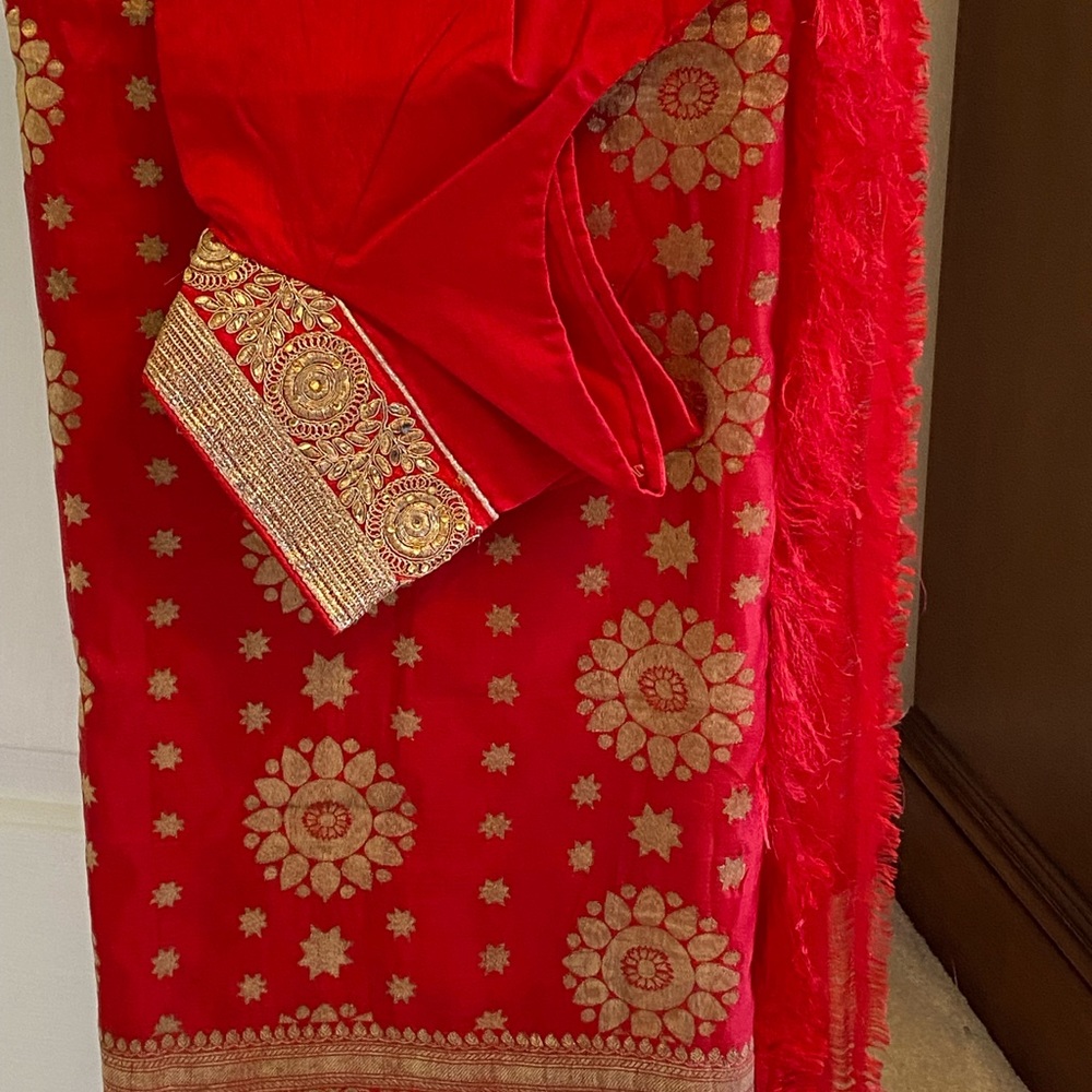 Indian outfit: Saree with matching blouse.